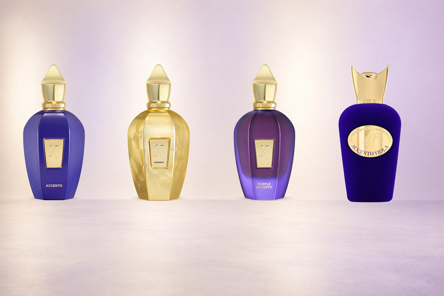 Xerjoff Accento, Accento Overdose, Purple Accento und Sospiro Accento Viola im Vergleich