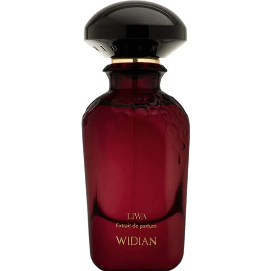 Liwa Probe