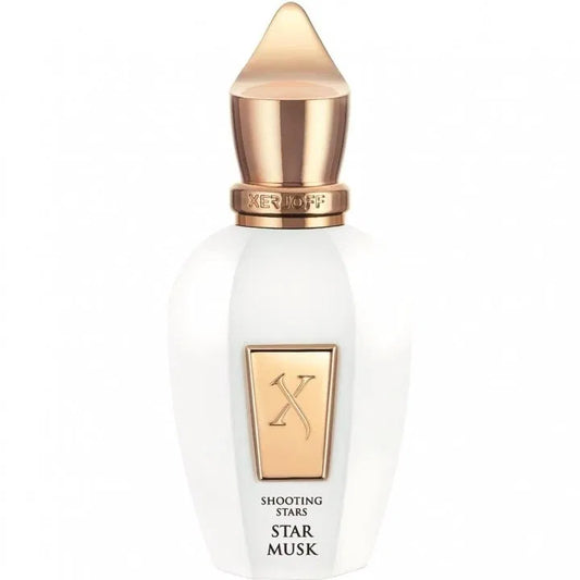 Star Musk Probe