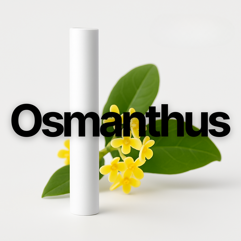 MyScent - Autoduft Refills (parfümiert)